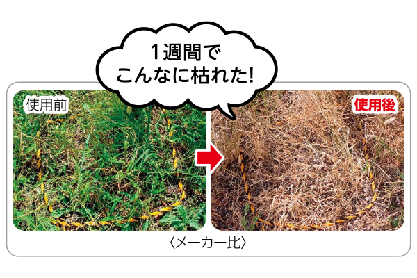 無農薬で除草対策！