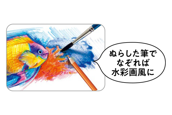 [ステッドラー]ノリスクラブ　水彩色えんぴつ