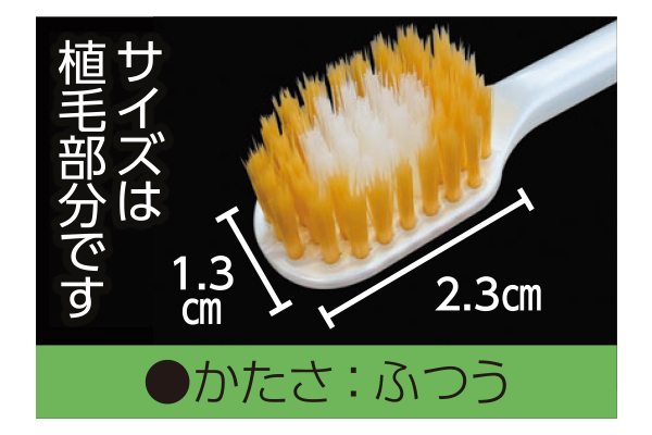 ［エビス］プレミアムケアハブラシ
