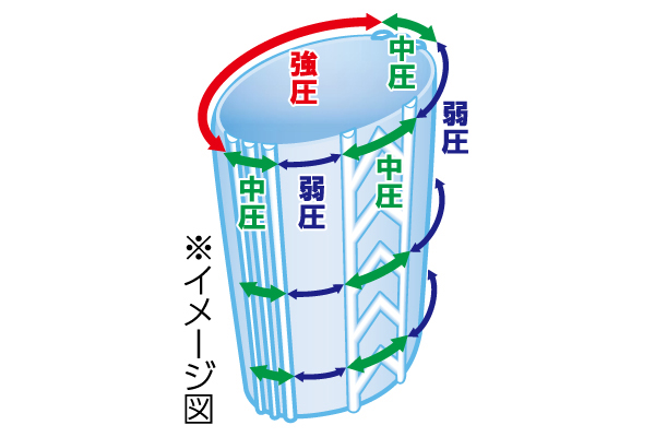 爽やかＭＯＭＩ×２（モミ×モミ）