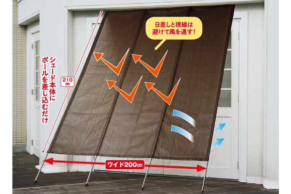 洋風タテス