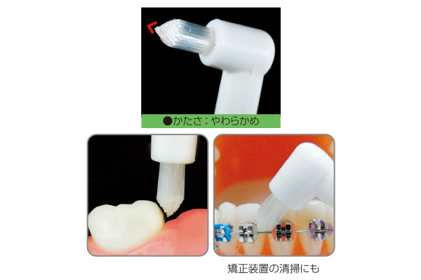 ［エビス］プロフィッツワンタフト