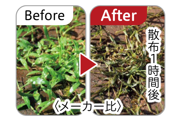 虫よけ除草王