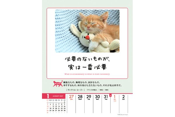 人生はニャンとかなる！カレンダー