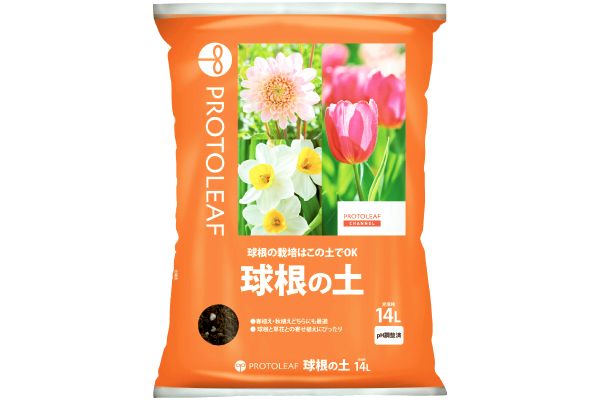 沢山植えられる球根の土