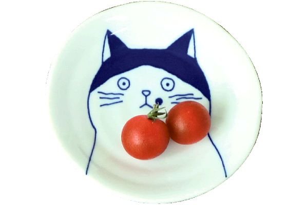 ［美濃焼］ねこフレンズ取小皿