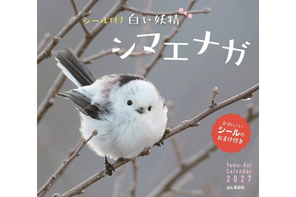 白い妖精シマエナガカレンダー