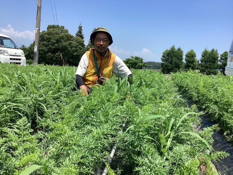 【ネット限定】有機にんじん（洗い）
