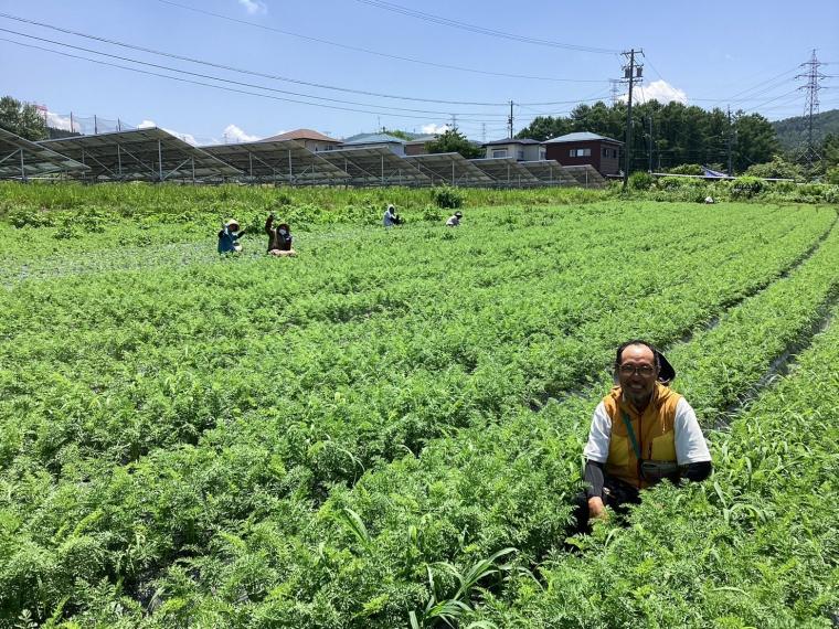 【ネット限定】有機にんじん（洗い）
