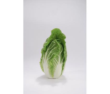 【ネット限定】無無ベビー白菜