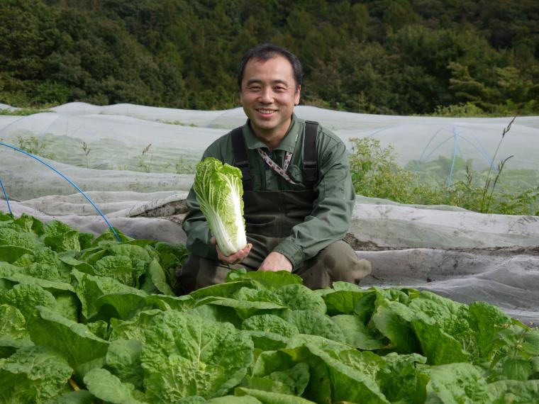 【ネット限定】無無ベビー白菜