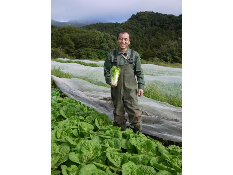 【ネット限定】無無ベビー白菜