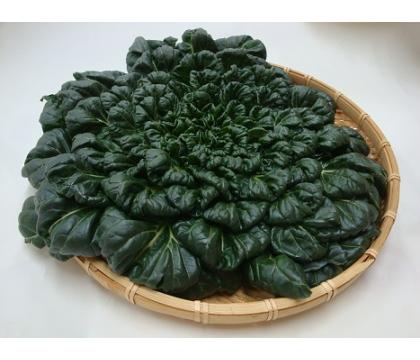 【ネット限定】無無ター菜