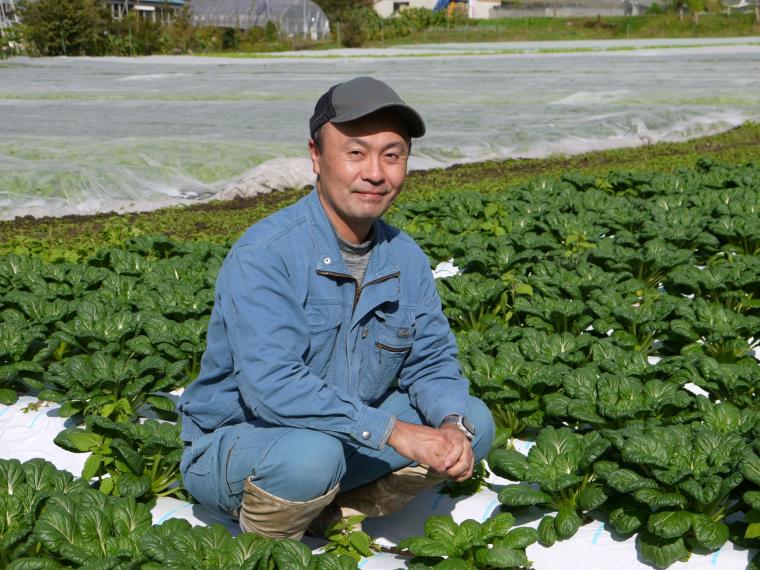 【ネット限定】無無ター菜