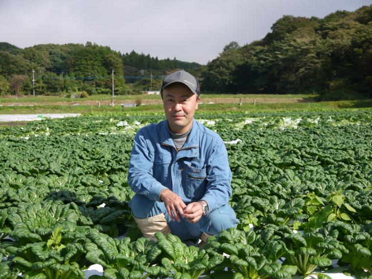 【ネット限定】無無ター菜
