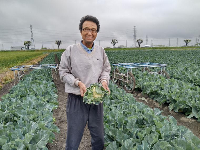 【ネット限定】カリフラワー