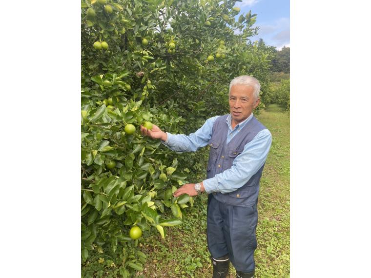 【ネット限定】有機国産ライム