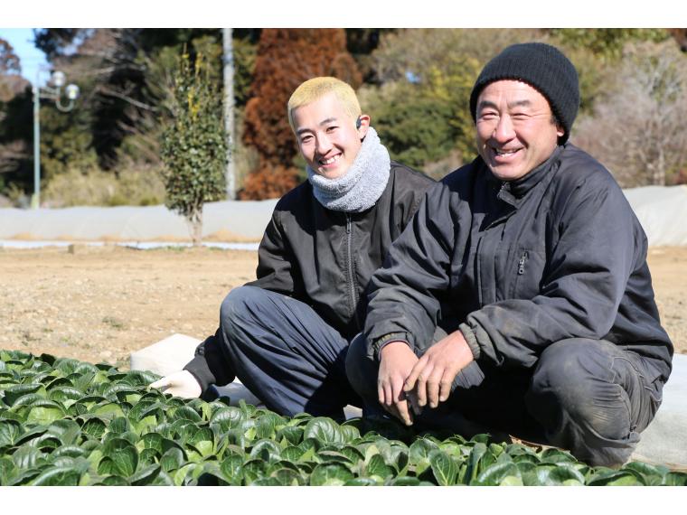 【ネット限定】木内さんのたっぷり小松菜