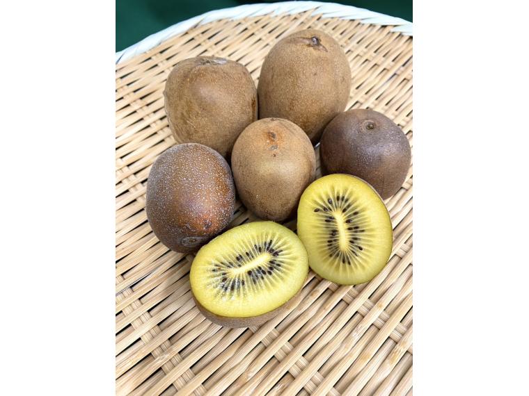 【ネット限定】キウイフルーツ（片浦イエロー）