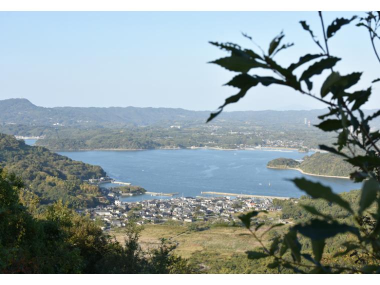 【ネット限定】大矢野の潮風浴びた芳醇みかん（みはや）