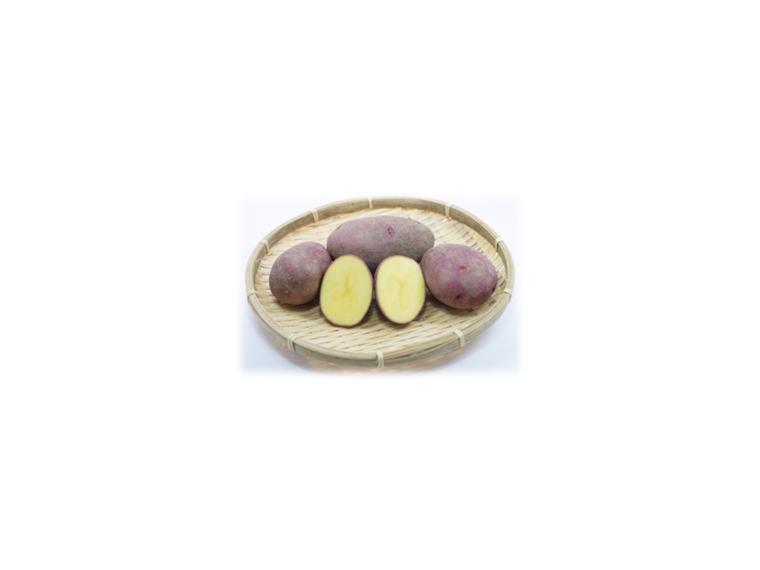 【ネット限定】カラフルじゃがいも（レッドアンデス）