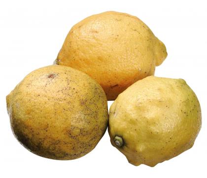 【ネット限定】もったいない有機国産レモン