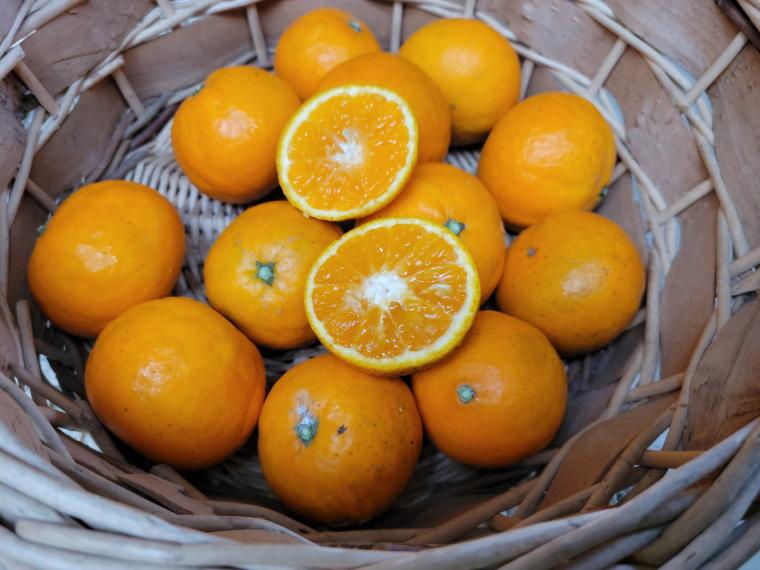 【ネット限定】福岡自然農園の無無はれひめ 