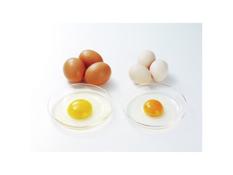 【ネット限定】うこっけい（烏骨鶏）のたまご