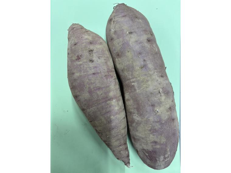 【ネット限定】有機さつまいも（べにはるか）