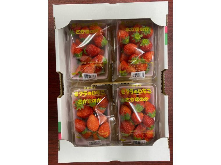 【ネット限定】モグラのいちご（さがほのか） 箱規格