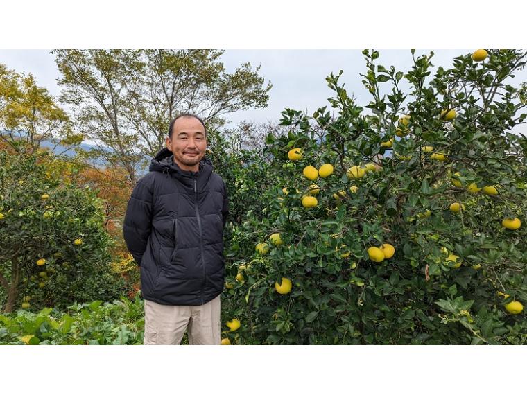 【ネット限定】福岡自然農園の無無グレープフルーツ（スウィート）