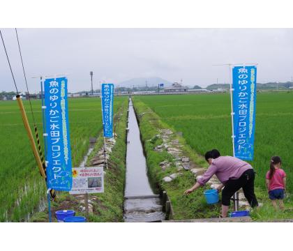 【ネット限定】無洗米滋賀みずかがみ（ゆりかご水田米）