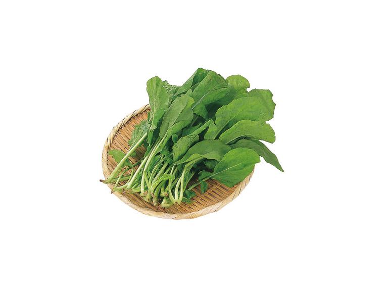 【ネット限定】農福連携企画『しいのみ応援野菜セット』