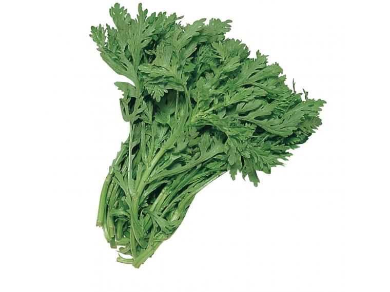 【ネット限定】農福連携企画『しいのみ応援野菜セット』