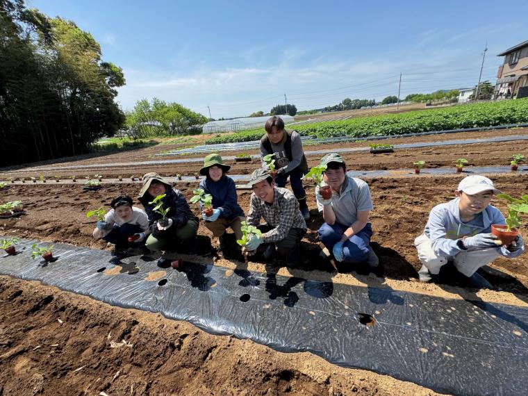 【ネット限定】農福連携企画『しいのみ応援野菜セット』