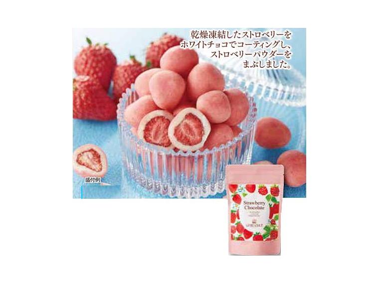 【アウトレット】グランプラス ストロベリーチョコstand