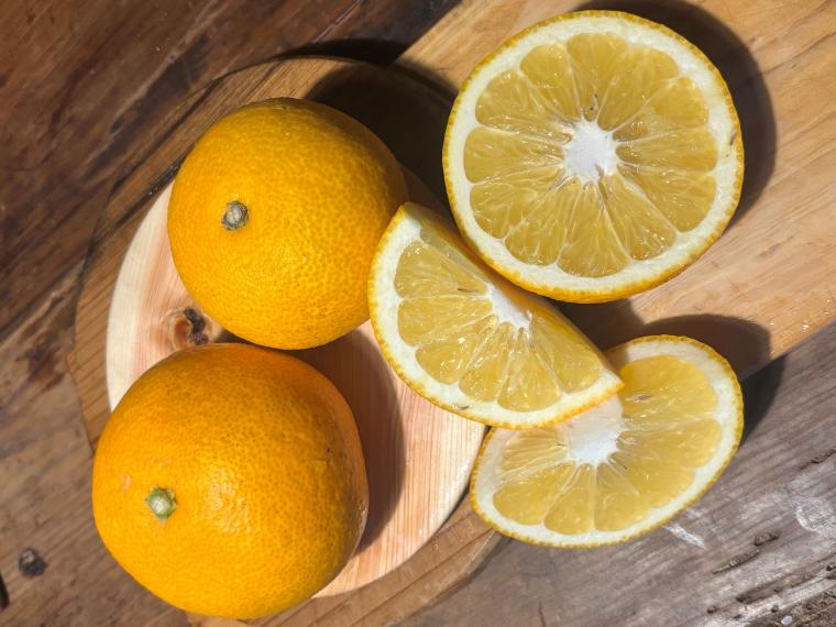 【ネット限定】福岡自然農園の無無サマーフレッシュ