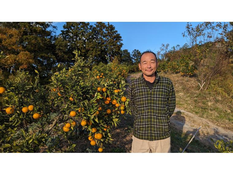 【ネット限定】福岡自然農園の無無サマーフレッシュ