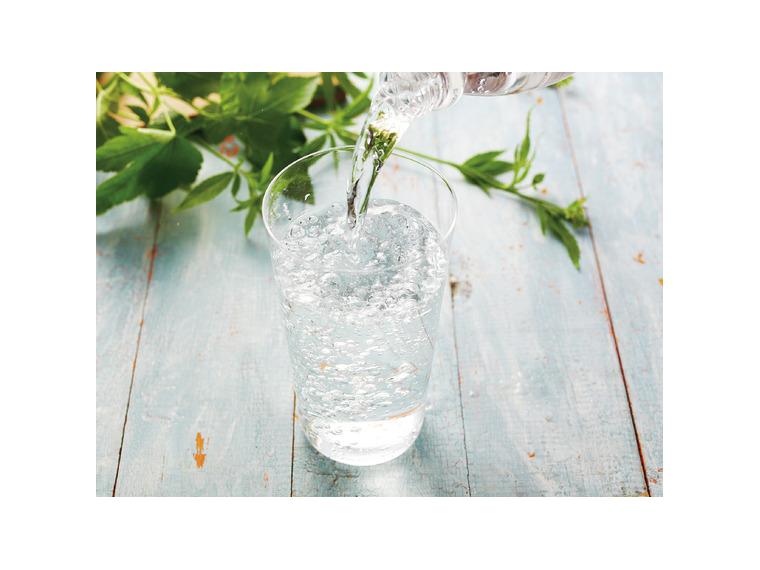【ネット限定】強炭酸水（ペットボトル）