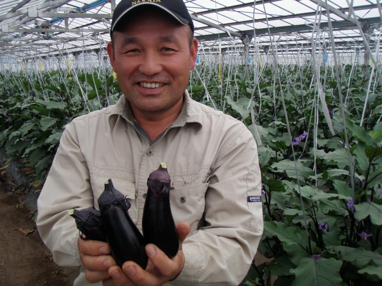 【ネット限定】房総食料センター　地球思いやり野菜セット