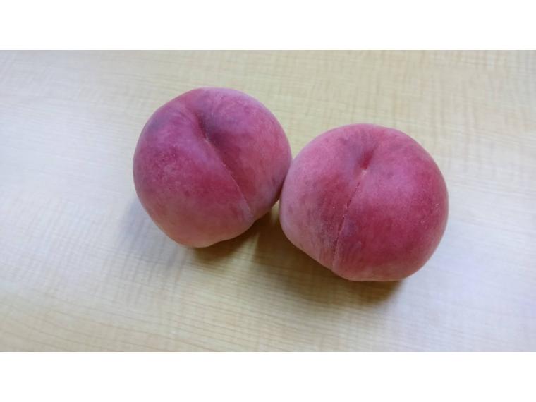 【ネット限定】有機桃