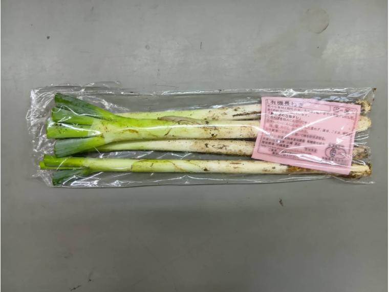 【ネット限定】有機長ねぎ