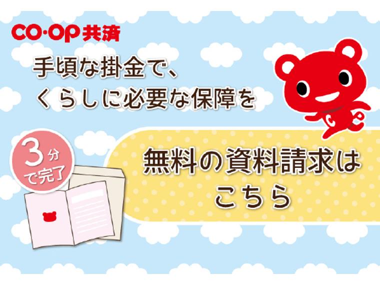 たすけあい・あいぷらす・ずっとあい資料