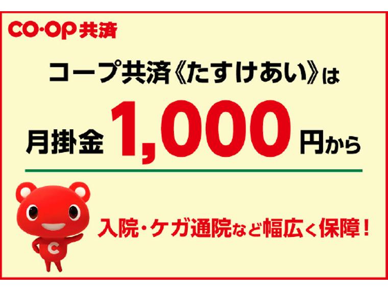 たすけあい・あいぷらす・ずっとあい資料