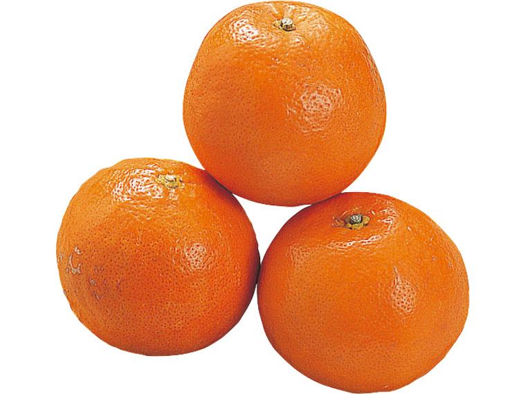 セミノール 600g（3〜6玉）（M〜3L）