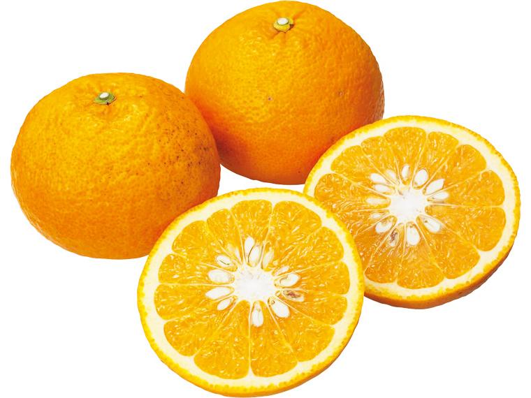 雪室貯蔵甘夏 800ｇ（3〜4玉）（S〜L）