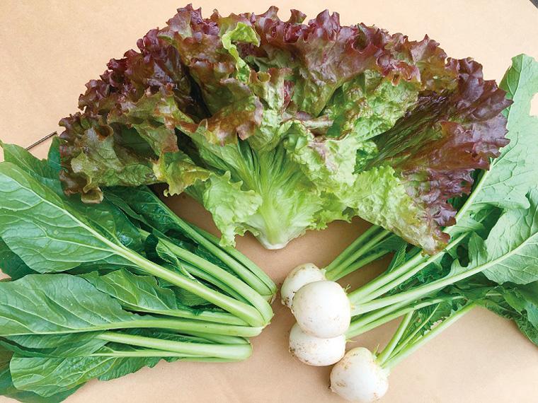 グットファームの有機野菜セット 3種