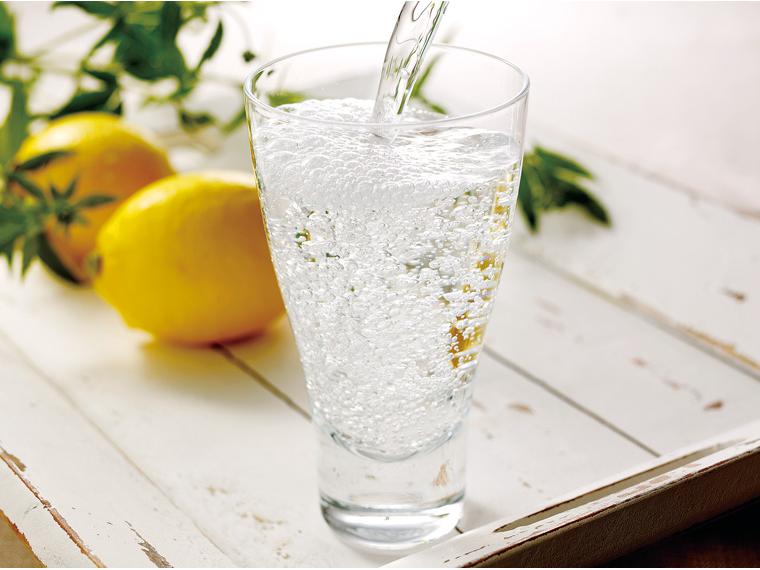 強炭酸水レモン（ペットボトル） 500ml×24