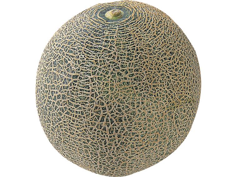 米の精　貴味メロン 1玉（1kg）