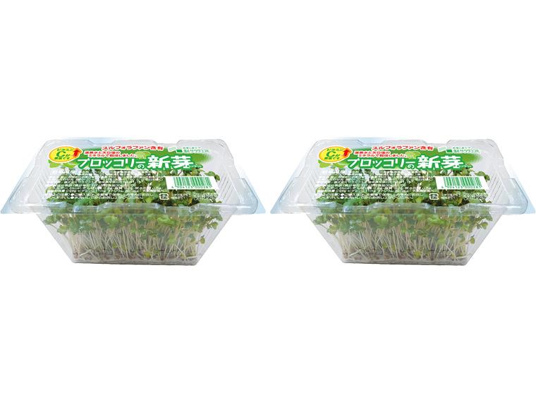 徳用ブロッコリーの新芽（スプラウト） 2束（1束可食部30g×2）